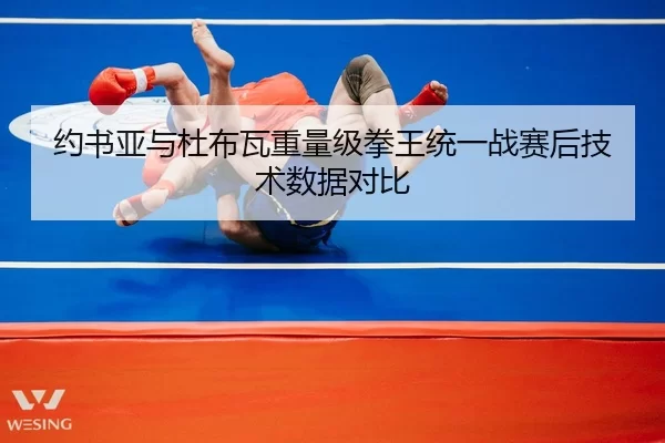 yue-shu-ya-yu-du-bu-wa-zhong-liang-ji-quan-wang-tong-yi-zhan-sai-hou-ji-shu-shu-ju-dui-bi-2-158.jpg